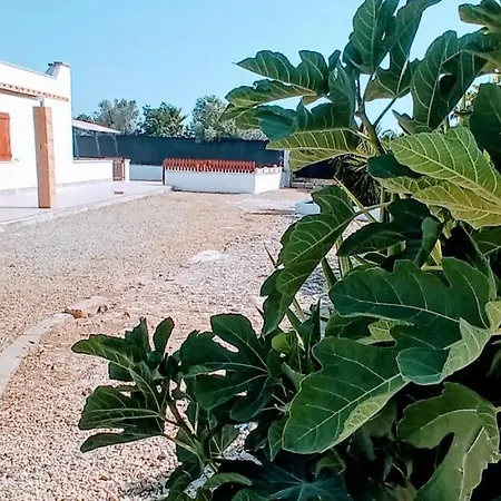 Villa Viletta Li Foggi